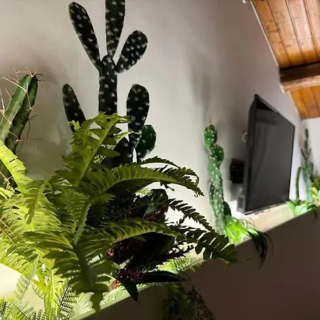 Samuele S Feriehus *